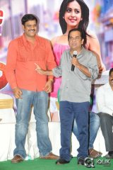 Loukyam Movie Platinum Disc Function